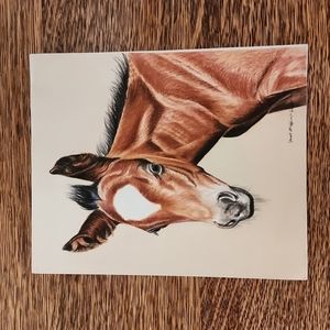 "Those Ears" Original Watercolour Janet Griffin-Scott